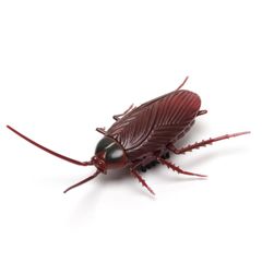 グランディオス 【 コンパクト 】 リアル 電動 ゴキブリ 動く 猫のおもちゃ 猫じゃらし ドッキリ いたずら おもしろ グッズ 面白 ネタ GD-MINIGOKI