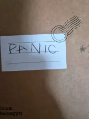 ボムギュ(BEOMGYU) パニック アルバム トレカ