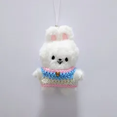 SKZOO マイクロ Ver.用の服【N ピンク✕ブルー✕ホワイト】 - メルカリ