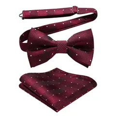 【新品】 [HISDERN] 蝶ネクタイ メンズ 結婚式 大人 赤 ワンタッチ チーフ セット 水玉 ドット ボウタイ ビジネス ブランド 高級 タキシード 礼服 男性 新郎 BR-02 1