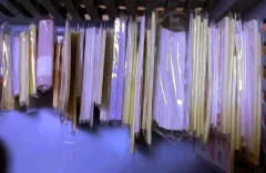 約 10倍 包装用品 800枚 以上 8000円 ONE 出品