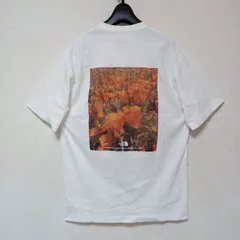 THE NORTH FACEノースフェイスTシャツ半袖バックプリントホワイトサイズL
