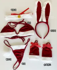 6種フルセット セクシービキニ サンタコスプレ クリスマス サンタ服 コスチューム イベント 下着