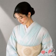 江戸小紋 付下げ 付け下げ 訪問着 中古 正絹 袷 雪輪模様 鮫 通し 行儀 黒色 灰白色 身丈164.5cm 裄67cm L きもの北條 A1116-11 江戸小紋 付下げ 付け下げ 訪問着 中古 正絹 袷 雪輪模様 鮫 通し 行儀