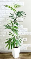 エバーフレッシュ 8号144cm S-shaped tree form - メルカリ