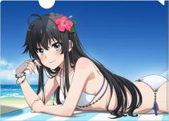 [중고] 클리어 파일 유키노시타 유키노(수영복) 신작 A4 클리어 파일 [역시 내 청춘 러브 쌀은 잘못되어 있다. 완]