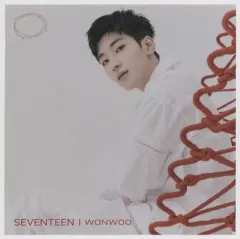 【中古】キャラカード ウォヌ(SEVENTEEN) リリースイベントエントリーカード 「CD 24H」 HMV・Loppi購入特典