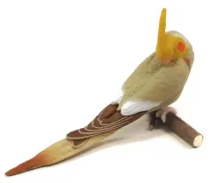 【中古】トレーディングフィギュア オカメインコC(おやすみタイプ) 「手のりインココレクション ～スヤスヤおやすみ編～」