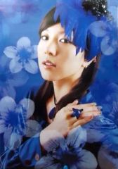 【二手】海報(女性) [單品]海報 BoA 「2006年度附海報日曆」