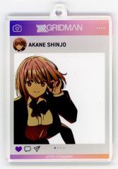 【中古】キーホルダー 新条アカネ(笑顔ver) SNS風アクリルキーホルダー 「DMMスクラッチ! TVアニメ SSSS.GRIDMAN 冬制服 スクラッチ」 C-4賞