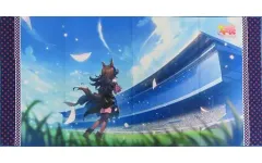 【中古】雑貨 ライスシャワー(みんなに祝福を) バスタオルVol.2 「ウマ娘 プリティーダービー」のサムネイル