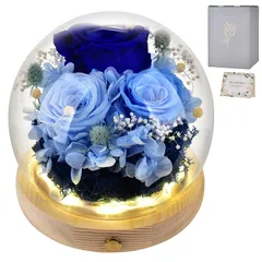 【新品】 2026 母の日 プリザーブドフラワー 青いバラ ブリザードフラワー ぶりざーとフラワー 3輪 ガラスドーム LEDライト付き ブルー 枯れない花 誕生日プレゼント 男性 上司 退職祝い 定年 送別会 奇跡 夢かなう お祝い 贈り物 高級ケース入 0