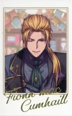 【中古】紙製品 ランサー/フィン・マックール 「Fate/Grand Order Fes. 2025 ～10th Anniversary～ ポートレイトコレクション Fes.2025描き下ろしサーヴァントE」