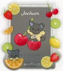 【中古】収納・携帯用アイテム ピーハイ(金城碧海) 「JOCHUM シークレット硬質カードケース＆カード(フルーツデザイン)」