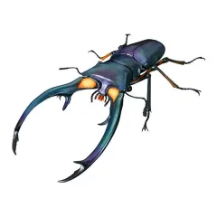 【中古】トレーディングフィギュア エラフスホソアカクワガタ(ブルー) 「いきもの大図鑑アドバンス クワガタ02」