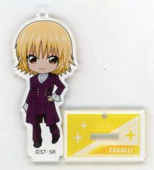機動戦士ガンダムSEED カガリ・ユラ・アスハ マグネットバッジ - メルカリ