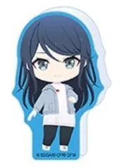 【中古】アクリルスタンド・アクリルパネル 星乃一歌 「プロジェクトセカイ カラフルステージ! feat. 初音ミク マイセカイ キャラクターver アクリルフィギュアコレクション B Leo/need＆25時、ナイトコードで。」