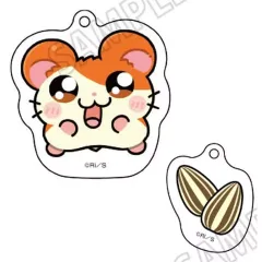 【中古】キーホルダー ハム太郎 「とっとこハム太郎 POP UP SHOP 描き起こし アクリルキーホルダーコレクション」のサムネイル