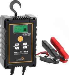 LVYUAN LiFePO4 バッテリー29.2V 充電器 AP-PF600CH - メルカリ
