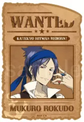 【中古】マグネット・磁石 六道骸 「家庭教師ヒットマンREBORN! 描き下ろし パイレーツ衣装 トレーディングマグネットシール」