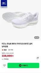 ランニングシューズ mizuno ウェーブライダー29 (265)