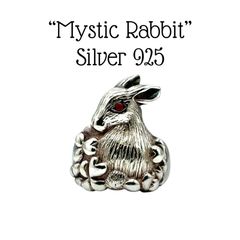 小物 ALZUNI 00s sv950 rabbit horseshoe concho ALZUNI 00s sv950 rabbit horseshoe concho - メルカリ