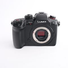 LUMIX GH5 markⅡDCーGH5M2ミラーレスカメラボディ美品 - メルカリ