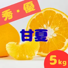 ​九州産 甘夏 あまなつ 箱込み5kg 中玉 大玉 L〜3L 送料無料 優品家庭用