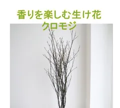 花付　クロモジ枝　　生け花　リードディフューザー　200gのサムネイル