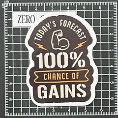 A234　筋トレ・フィットネス防水ステッカー ZEROGRAVITY