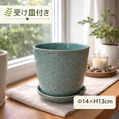 植木鉢 花器 陶器 グリーン  底穴あり 受け皿付き 外寸14cm 高さ13cm 塊根植物 多肉植物 観葉植物
