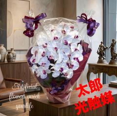 光触媒 人工観葉植物 ウォールグリーン フェイクグリーン 胡蝶蘭7545