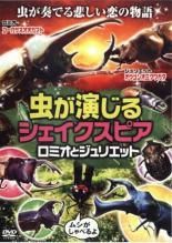 虫が演じるシェイクスピア ロミオとジュリエット DVD - メルカリ