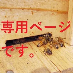 【非加熱・生はちみつ】百花蜜300g&れんげ300g(2本セット)