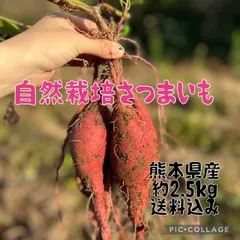 ⭐︎自然栽培⭐︎熊本県産サツマイモ（安納芋）約2.5kg