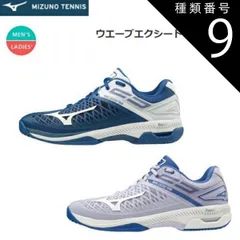種類9：27：ブルー×ホワイト×シルバー/24.5cm MIZUNO(ミズノ) WAVE EXCEED TOUR4 AC（ウエーブエクシード TOUR4 AC）テニスシューズ 男女兼用 [61GA2070]