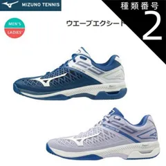 種類2：67：ライトP×ホワイト×ブルー/22.5cm MIZUNO(ミズノ) WAVE EXCEED TOUR4 AC（ウエーブエクシード TOUR4 AC）テニスシューズ 男女兼用 [61GA2070]