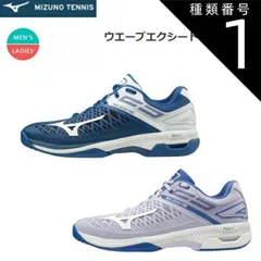 種類1：27：ブルー×ホワイト×シルバー/22.5cm MIZUNO(ミズノ) WAVE EXCEED TOUR4 AC（ウエーブエクシード TOUR4 AC）テニスシューズ 男女兼用 [61GA2070]