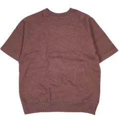 Slopeslow スロープスロウ 23SS 日本製 TUCK JERSEY OVERDYED HALF SLEEVE TEE ハーフスリーブスウェットTシャツ 1231014 L WINE トップス g26470のサムネイル