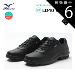種類6：ブラック/24.0cm [日本全国送料無料！] MIZUNO(ミズノ) LD40 VI GTX (ウォーキングシューズ) ユニセックス ブラック [B1GD220709]