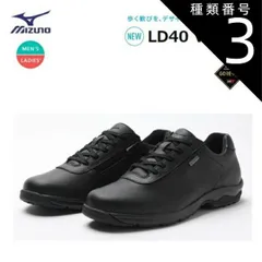 種類3：ブラック/22.5cm [日本全国送料無料！] MIZUNO(ミズノ) LD40 VI GTX (ウォーキングシューズ) ユニセックス ブラック [B1GD220709]