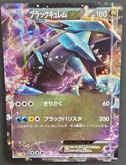 ブラックキュレムEX バトル強化デッキ60 ブラックキュレムEX BKB 00… ブラックキュレムEX BKB 008/018 - メルカリ