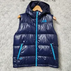 85 THE NORTH FACE 600 グースダウン 光沢 ダウン ベスト H424