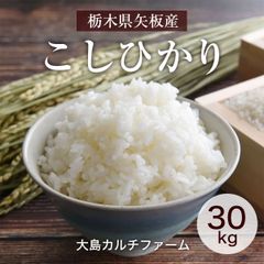 超メルカリ市セール 農家直送 令和7年産 南魚沼産こしひかり30kg