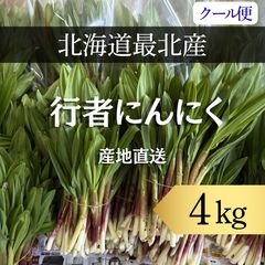クール便】天然行者ニンニク3kg 道北産 - メルカリ