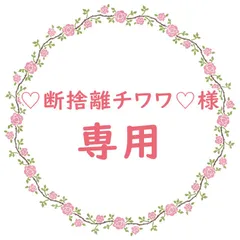 ♡断捨離チワワ♡様専用