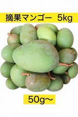 宮崎県産摘果マンゴー グリーンマンゴー6kg - メルカリ