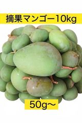 摘果マンゴー 10kg 宮古島産 予約受付中 - メルカリ