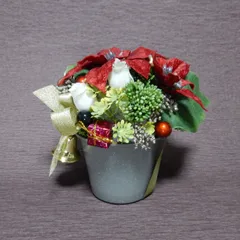 定番カラーのポインセチアとセダムのアレンジ