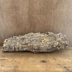 ラコレピス ブラジル 古代魚 化石 518g - メルカリ